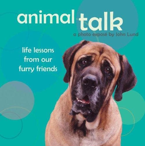 Tapa de Animal Talk