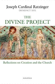 Tapa de Divine Project