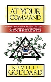 Tapa de At Your Command