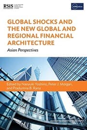 Tapa de Global Shocks and the New Global and Regional Financial Architecture