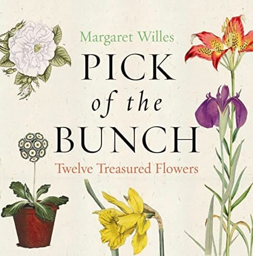 Tapa de Pick of the bunch