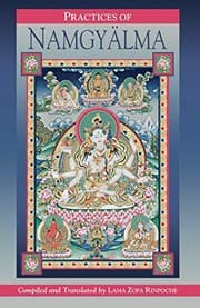 Tapa de Practices of Namgyalma