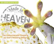 Tapa de Made in Heaven
