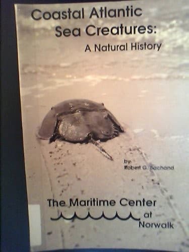 Tapa de Coastal Atlantic sea creatures