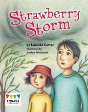 Tapa de Strawberry Storm