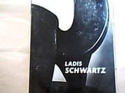 Tapa de Ladis Schwartz
