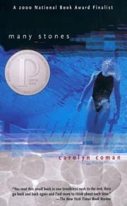 Tapa de Many Stones (Turtleback School & Library Binding Edition)
