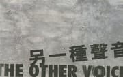 Tapa de Other Voice