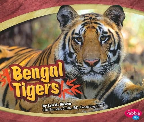 Tapa de Bengal Tigers