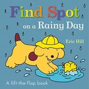 Tapa de Find Spot on a Rainy Day