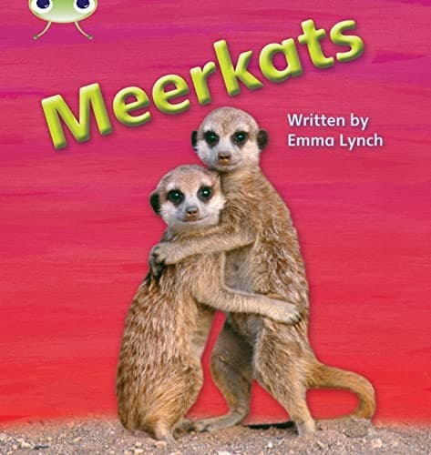 Tapa de Meerkats