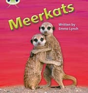 Tapa de Meerkats