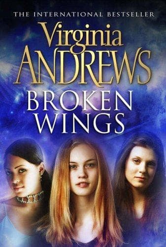 Tapa de Broken Wings