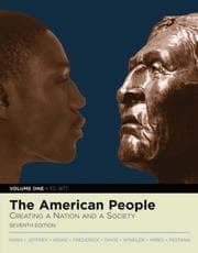 Tapa de American People 1877 Vol. 1