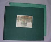 Tapa de The Impressionist revolution