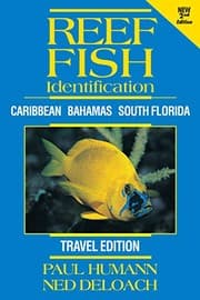 Tapa de Reef Fish Identification - Travel Edition