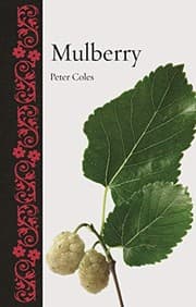 Tapa de Mulberry