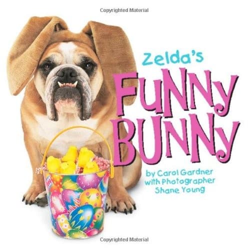 Tapa de Zelda's Funny Bunny