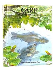 Tapa de Carp