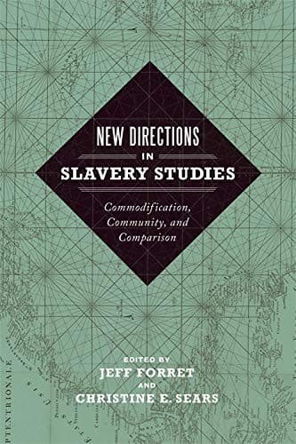 Tapa de New Directions in Slavery Studies