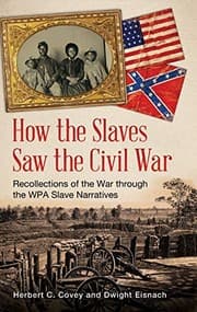 Tapa de How the slaves saw the Civil War