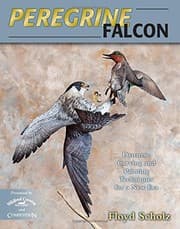 Tapa de Peregrine falcon