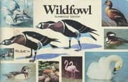Tapa de World of Wildfowl