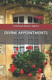 Tapa de Divine Appointments