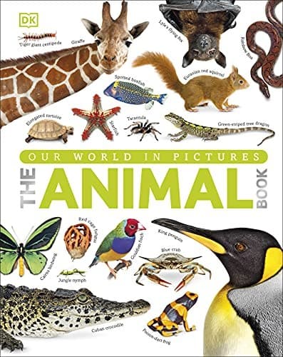 Tapa de Animal Book