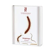 Tapa de Mångfotingar / Myriapoda