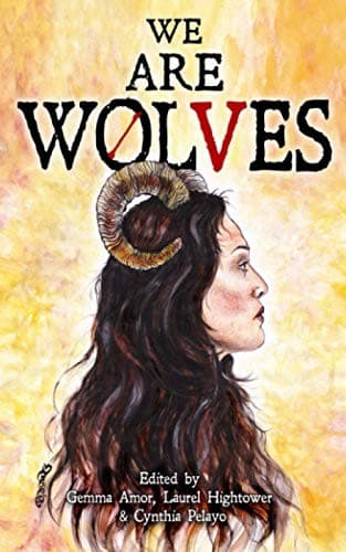 Tapa de We are Wolves