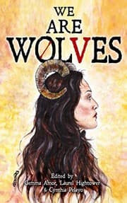 Tapa de We are Wolves