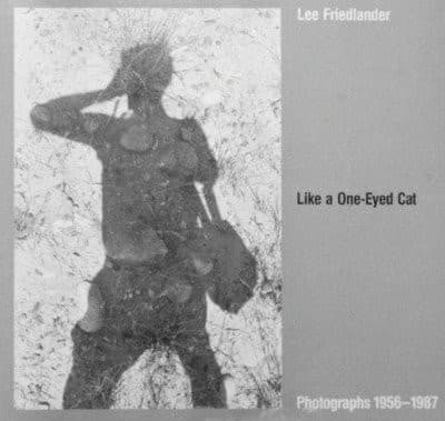 Tapa de Like a one-eyed cat