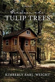 Tapa de Between the Tulip Trees