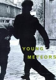 Tapa de Young meteors