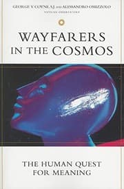 Tapa de Wayfarers in the Cosmos
