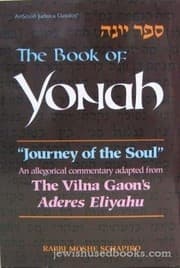 Tapa de The book of Yonah =
