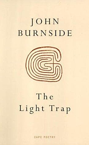 Tapa de The light trap