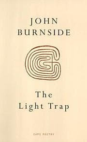 Tapa de The light trap