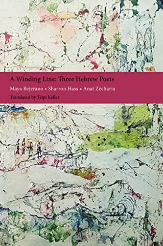 Tapa de Winding Line : Three Hebrew Poets