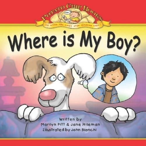 Tapa de Where Is My Boy?