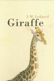 Tapa de Giraffe