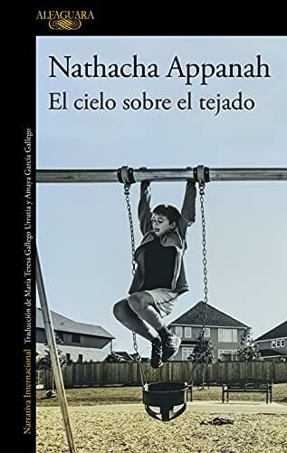 Tapa de El cielo sobre el tejado