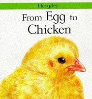 Tapa de From Egg to Chicken (Lifecycles)