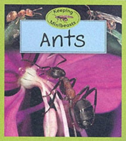 Tapa de Ants (Keeping Minibeasts)