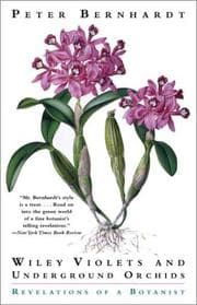 Tapa de Wily Violets and Underground Orchids