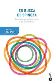 Tapa de En busca de Spinoza