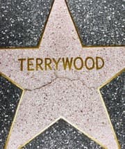 Tapa de Terrywood
