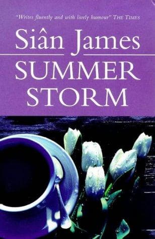 Tapa de Summer Storm