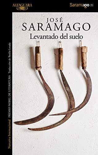 Tapa de Levantado del suelo